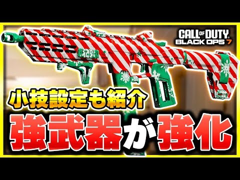 【CoD:BO7】アプデでまさかの強武器『RK-9』が強化！カスタム紹介&小技設定でより使いやすく！【ぐっぴー】