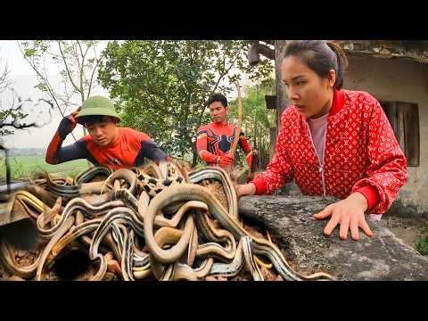 Spider-Man Saves Little Girl From a Tank Full of Giant Pythons! | Wild Python TV