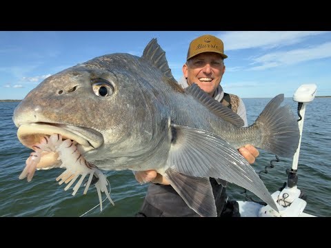 More Fish Than You Can Imagine!!￼ {Catch Clean Cook} Florida 