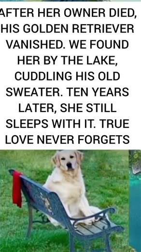A Dog’s Love Never Dies 💔🐶 | 10 Years of Loyalty