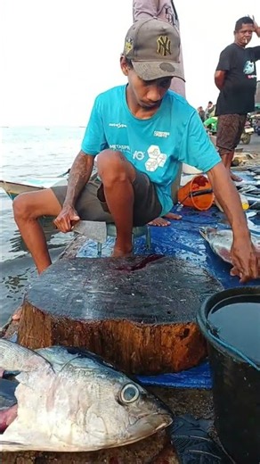 Watch the tuna butcher in action cutting up fresh tuna #shorts #tuna_fish_cutting #fypシ゚viral