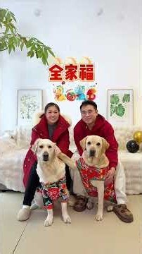 春节回老家过年的狗子，直接放飞了萌宠出道计划萌宠夸克网盘app上线夸克网盘