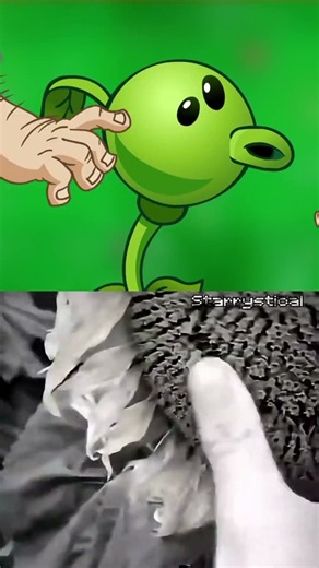 That ain't The Peashooter I Know🌱 #plantsvszombies2 #animation #pvz2