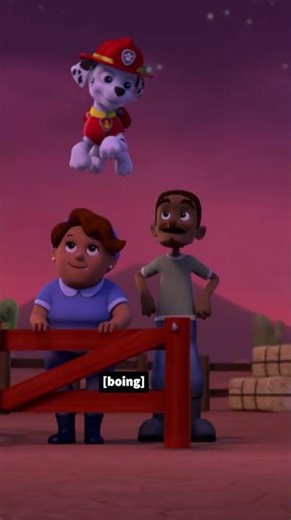 The PAW Patrol team rescue Oscar the ostrich