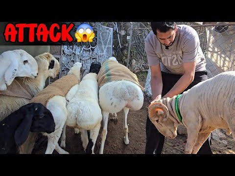 Snowman ne attack kr diya 😱 - Weron k pally utar k malish 😍 - JNTV Vlogs