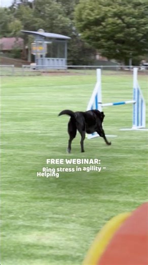 Join our free webinar: Ring stress in agility