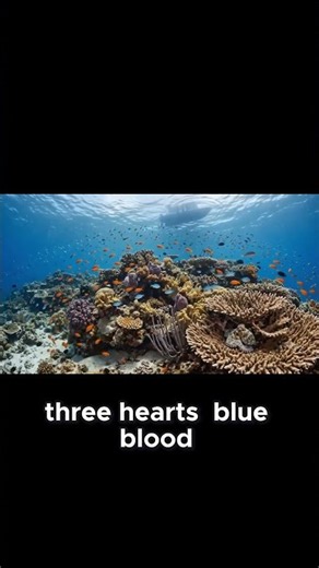 Proof That Aliens Live in Our Oceans! 👽🐙