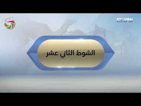 لقايا للقبائل - المرموم 11-12-2025 ملخص السباق