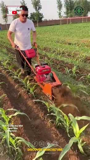 Amazing Mini Power Tiller Machine