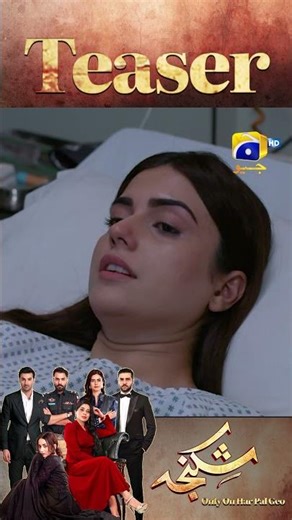 Shikanja Episode 48 New Teaser #shikanja #shorts #teaser