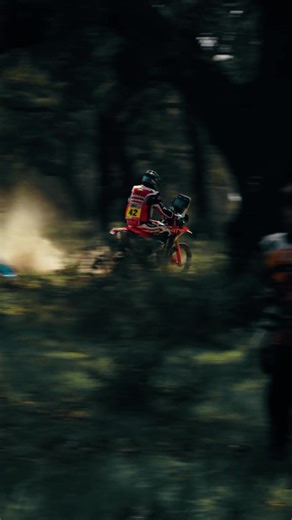 Rally Raid Portugal: Final Prologue with Honda & HRC
