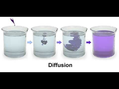 Diffusion in a minute