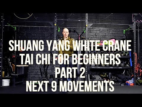 Tai Chi for Beginners | White Crane Qigong Form – Part 2 (Next 9 Moves)