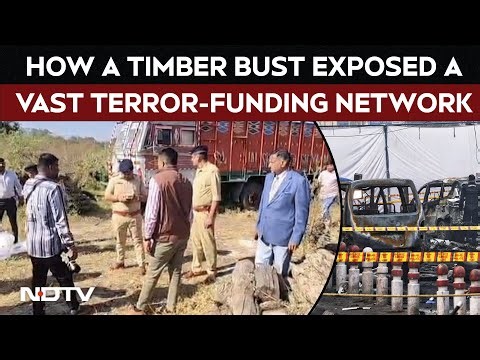 Terror Attack | How A Routine Timber Bust Exposed A Massive Terror-Funding Network