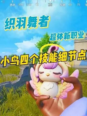 《小鸟四个技能细节点》真正能解放双手的职业！ 技能简单易上手~菜梨这样的二指玩家都能轻松入门超体，太棒啦！ 和平精英超体对抗 和平超体新角色织羽舞者 吃鸡女孩 和平精英吃鸡搭子 和平精英密钥搭子
