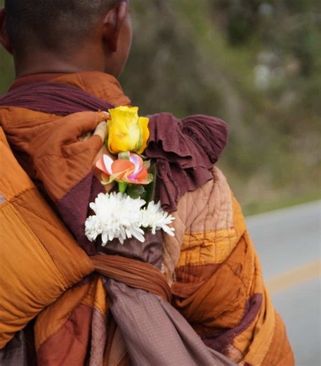 Yesterday’s support carried us farther than words can say. Thank you 🕊️✨ #WalkForPeace #BuddhistMonks #Gratitude #Georgia #Compassion