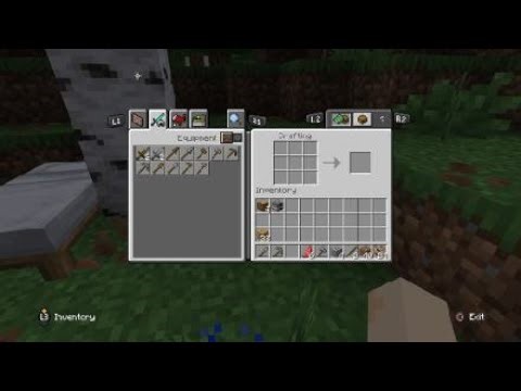 First minecraft world on ps4