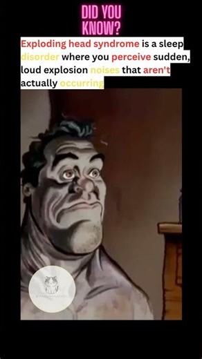 Did you know?? 😲💥🤯 #fyp #facts #sleep