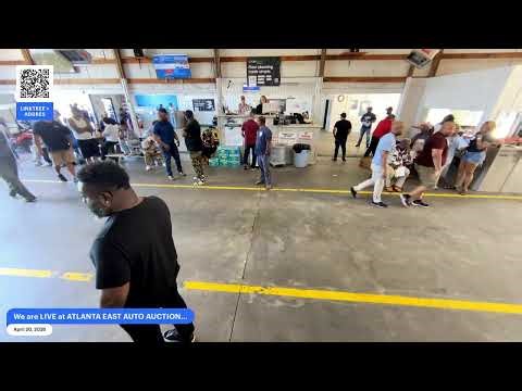 LIVE: Wholesale Car Deals at a Local Auto Auction (Open to the Public!