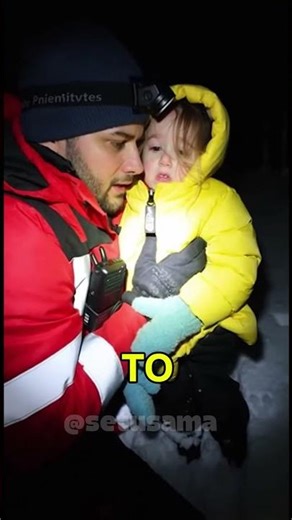 Wolf vs. Golden Retriever: A Rescue No One Expected