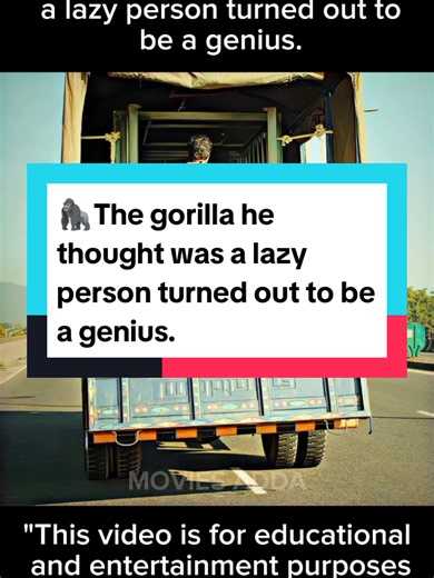 Movie Explained: The Gorilla He Thought Was Lazy Was a Genius