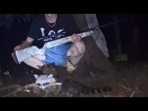 NC Pest control, Coon hunting at night with a .22 cal break barrel airgun! First upload!!!