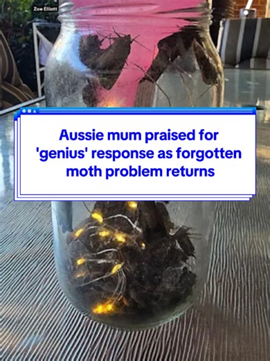 Aussie mum praised for 'genius' response as forgotten moth problem returns 😮 #yahooaustralia #australia #environment #moths