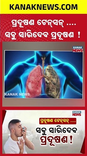 Air Pollution May Trigger Respiratory Crisis in India | Doctors Warn of Health Threat