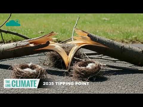 The Clock Is Ticking: Urgent Action Needed Now for Climate Change Solution