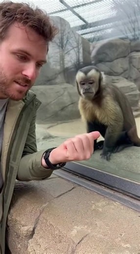 Monkey's Adorable Magic Moment! Watch a monkey's cute reaction to a magic trick! #fblifestyle #AI Generated using Kling AI . . . (For entertainment purposes only. Consult professionals if guidance on activities is presented. No brand affiliation is implied if any are shown. If inspired by true events, creative adaptations may be included. Content may include public footage.) | Fabiosa - Live easy