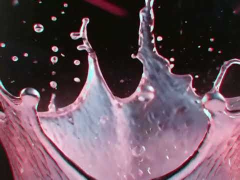 New LP Container Reel