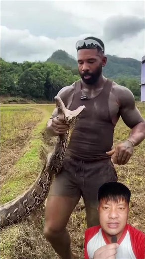 Man Catches a Giant Python with One Hand! 🐍😱 #Python #Wildlife #shortsfeed #amazing