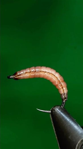 You like this one better or the one from the other day?