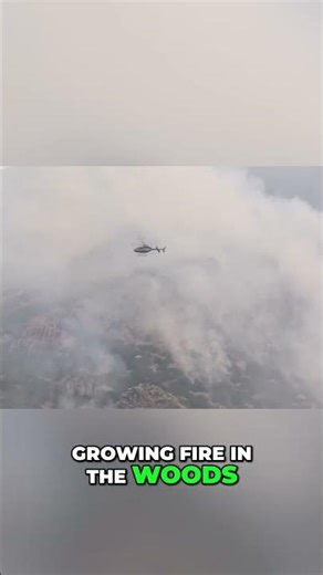 Forest Fire Near Propane Tanks: Race Against Explosion! #shorts