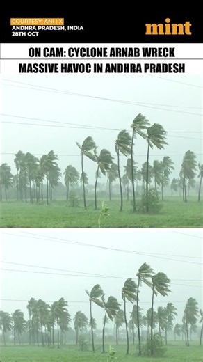 Watch: #CycloneArnab Brings Heavy Rain To Several Parts Of #AndhraPradesh | #Shorts