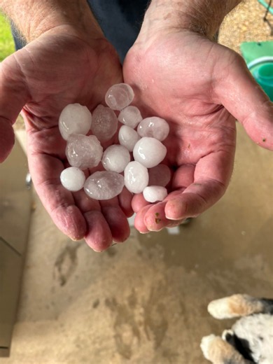Impresionante tormenta de granizo golpea viviendas y vehículos en Arizona. #EstadosUnidos | Una intensa tormenta de granizo sorprendió a residentes de Phoenix, Arizona, con fuertes precipitaciones que impactaron viviendas y vehículos. Las imágenes captadas por Gabriel Flores muestran la fuerza del fenómeno meteorológico, que redujo considerablemente la visibilidad en la zona. #Arizona #Phoenix #Tormenta #ClimaExtremo