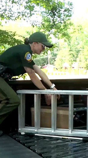 Injured hiker, more poaching on the seacoast and a 🐢rescue. Out now!