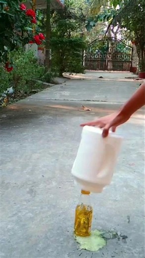 Amazing Science Experiment 👏 #shorts