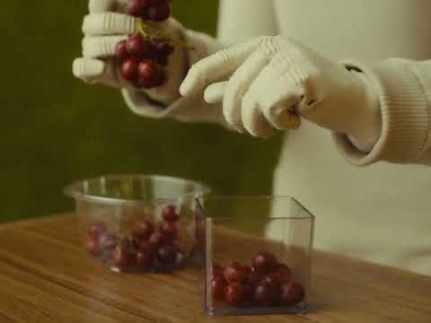 1X Technologies designs humanoid hands to "match or surpass human capability"