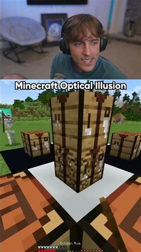 minecraft optical illusion