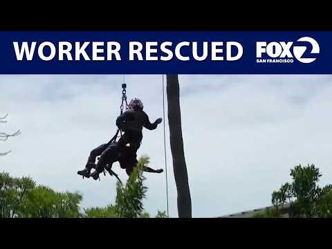 Trapped worker rescued from palm tree in San Jose | KTVU