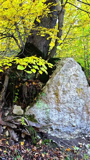 Golden Autumn in the Mountains of Chechnya | Scenic Photo Tour