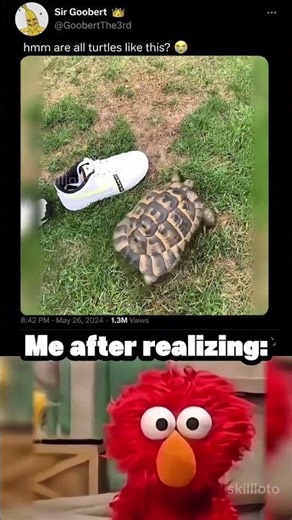 Unexpected turtle move ☠️