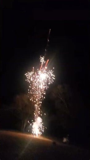 Homemade 3" ball shell mortar with spider kamuro and green stars plus glitter crackle kamuro mine