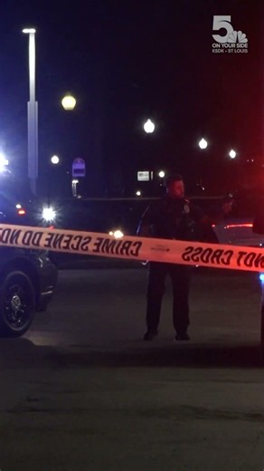 Mother caught in crossfire, killed in Ferguson shooting while with her children