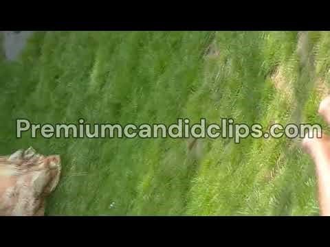 Film 274 - Candid Girl Feet, Ebony Anxious Park Soles - Full vid available