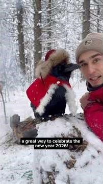 #воронгоша #raven #birds #commonraven #animals #2026