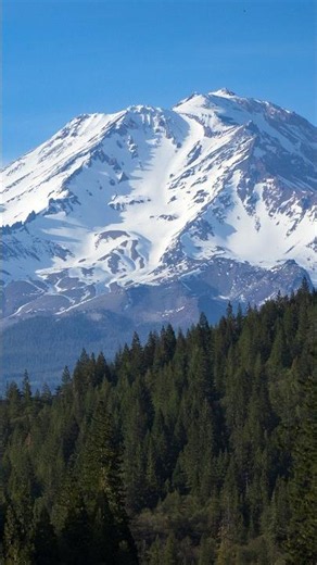 Forest Service workers freed after being held hostage