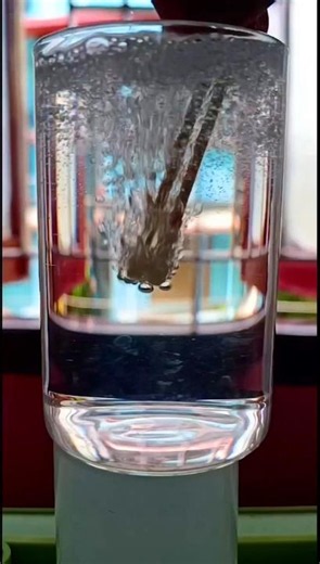 Amazing Science Experiment #shorts